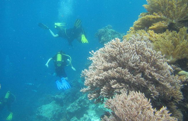 Isla Mbudya - Excursión de día completo - Foto 4